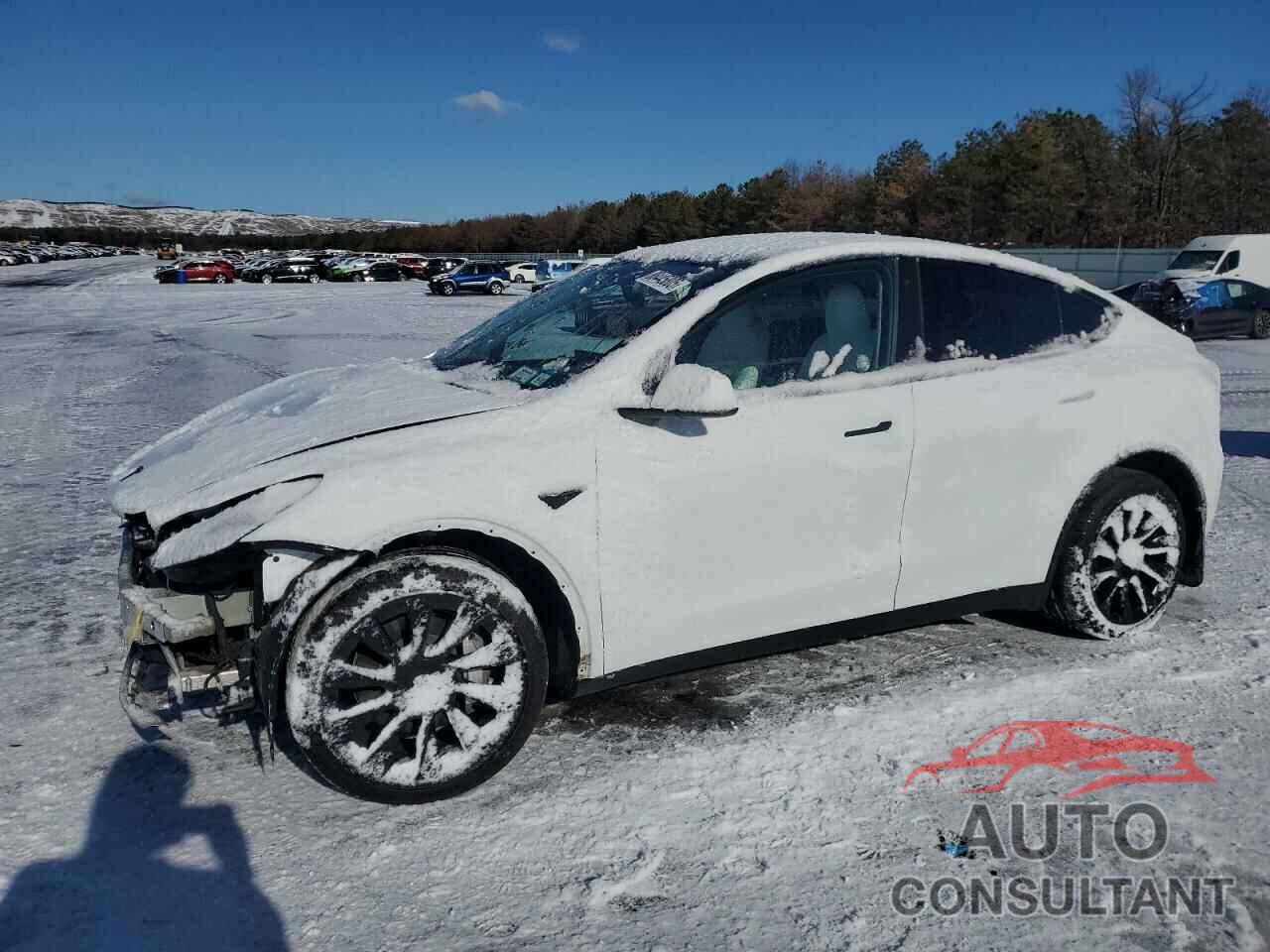 TESLA MODEL Y 2023 - 7SAYGDEE0PF609114