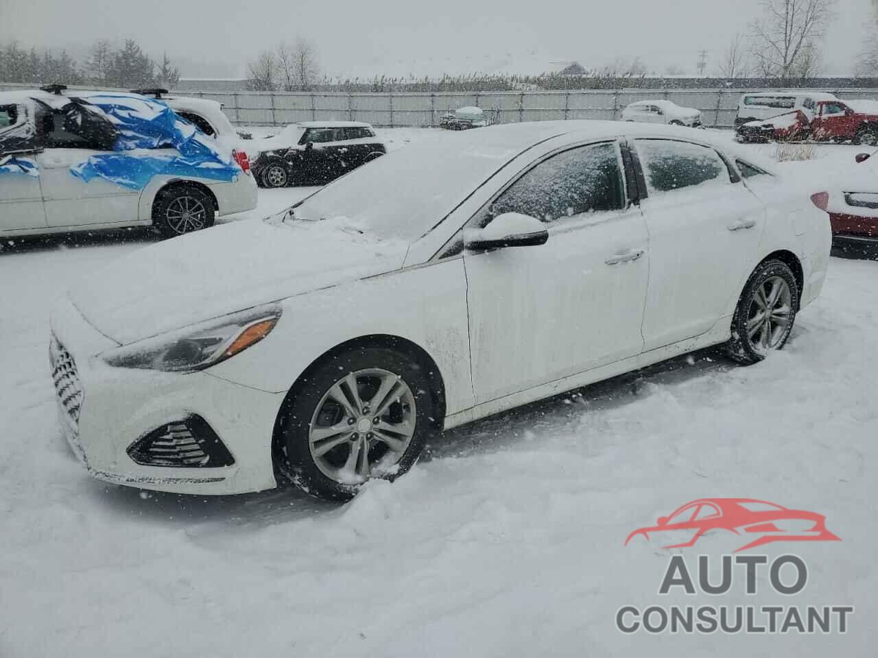 HYUNDAI SONATA 2019 - 5NPE34AF0KH770793