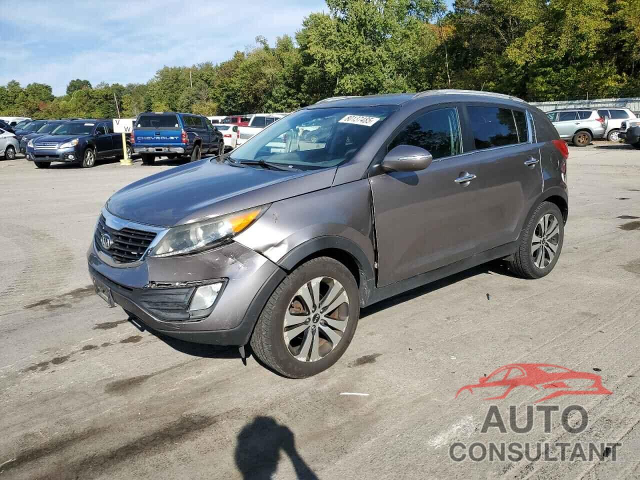 KIA SPORTAGE 2011 - KNDPC3A26B7053528