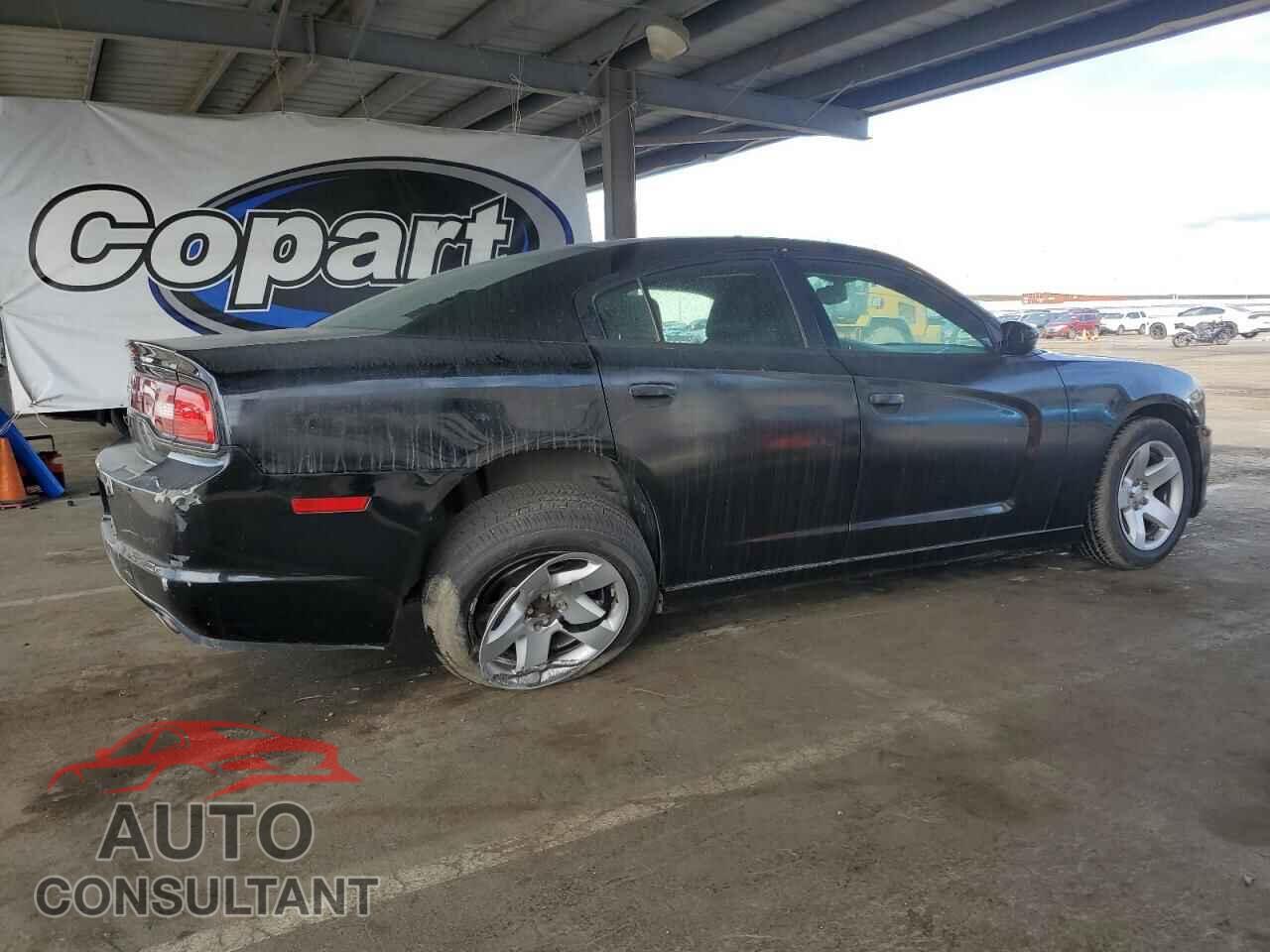 DODGE CHARGER 2014 - 2C3CDXAT8EH344802
