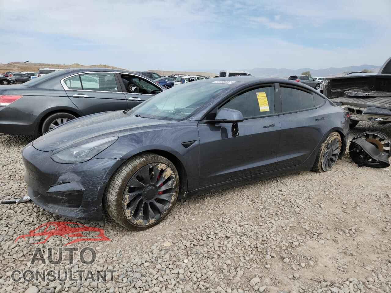 TESLA MODEL 3 2021 - 5YJ3E1EC9MF033979