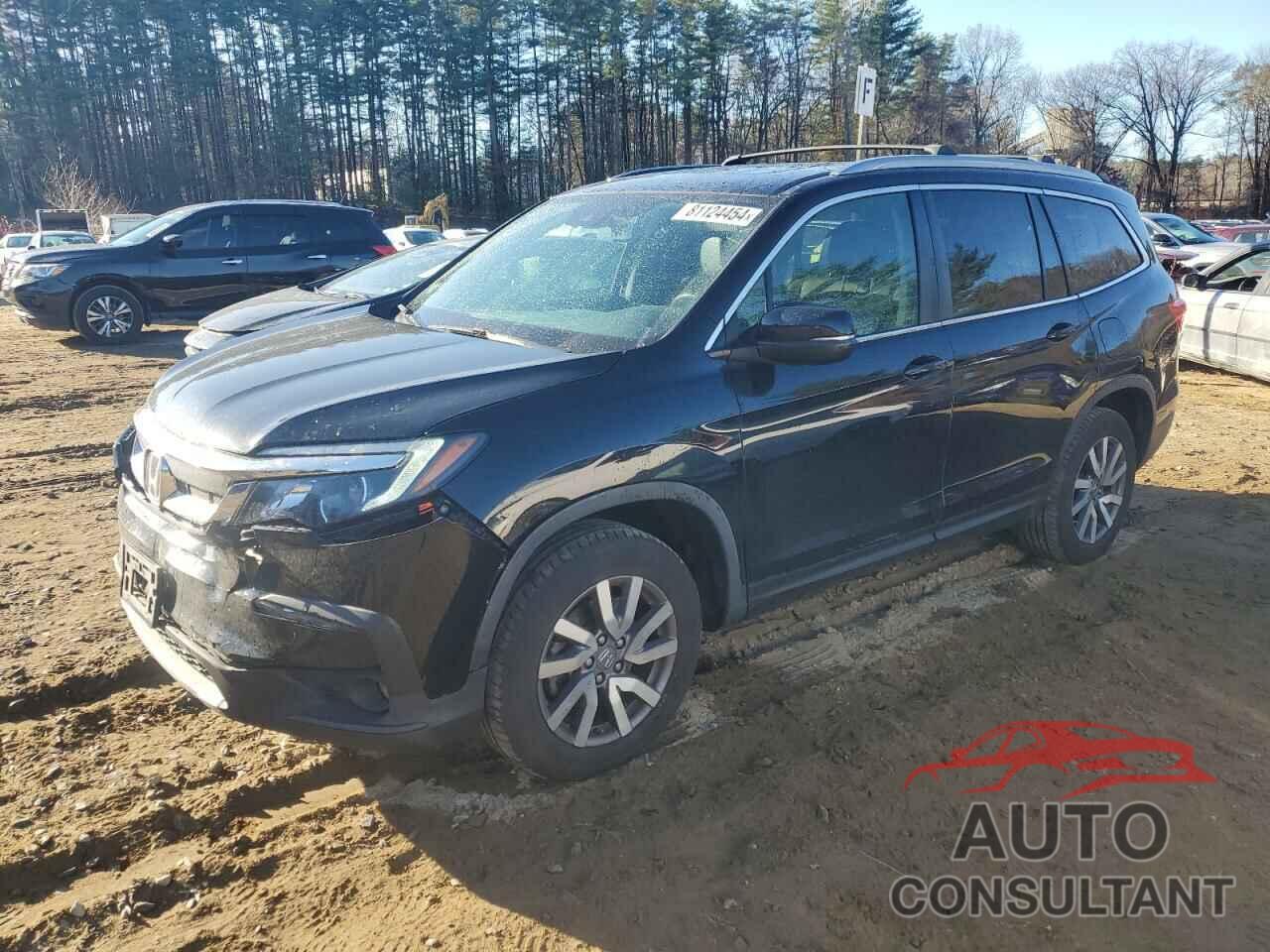 HONDA PILOT 2019 - 5FNYF6H57KB034252