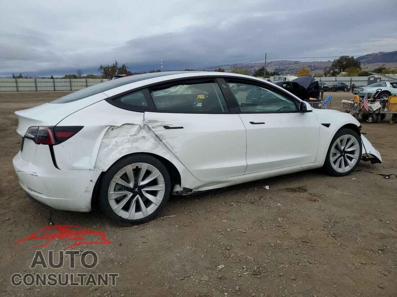 TESLA MODEL 3 2021 - 5YJ3E1EA3MF990803