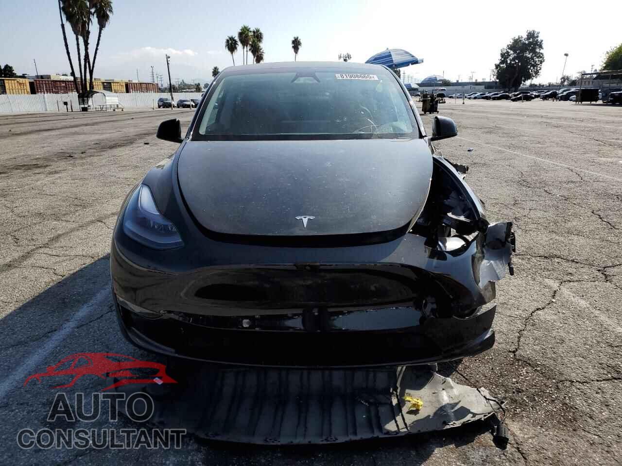 TESLA MODEL Y 2024 - 7SAYGAEE2RF124457