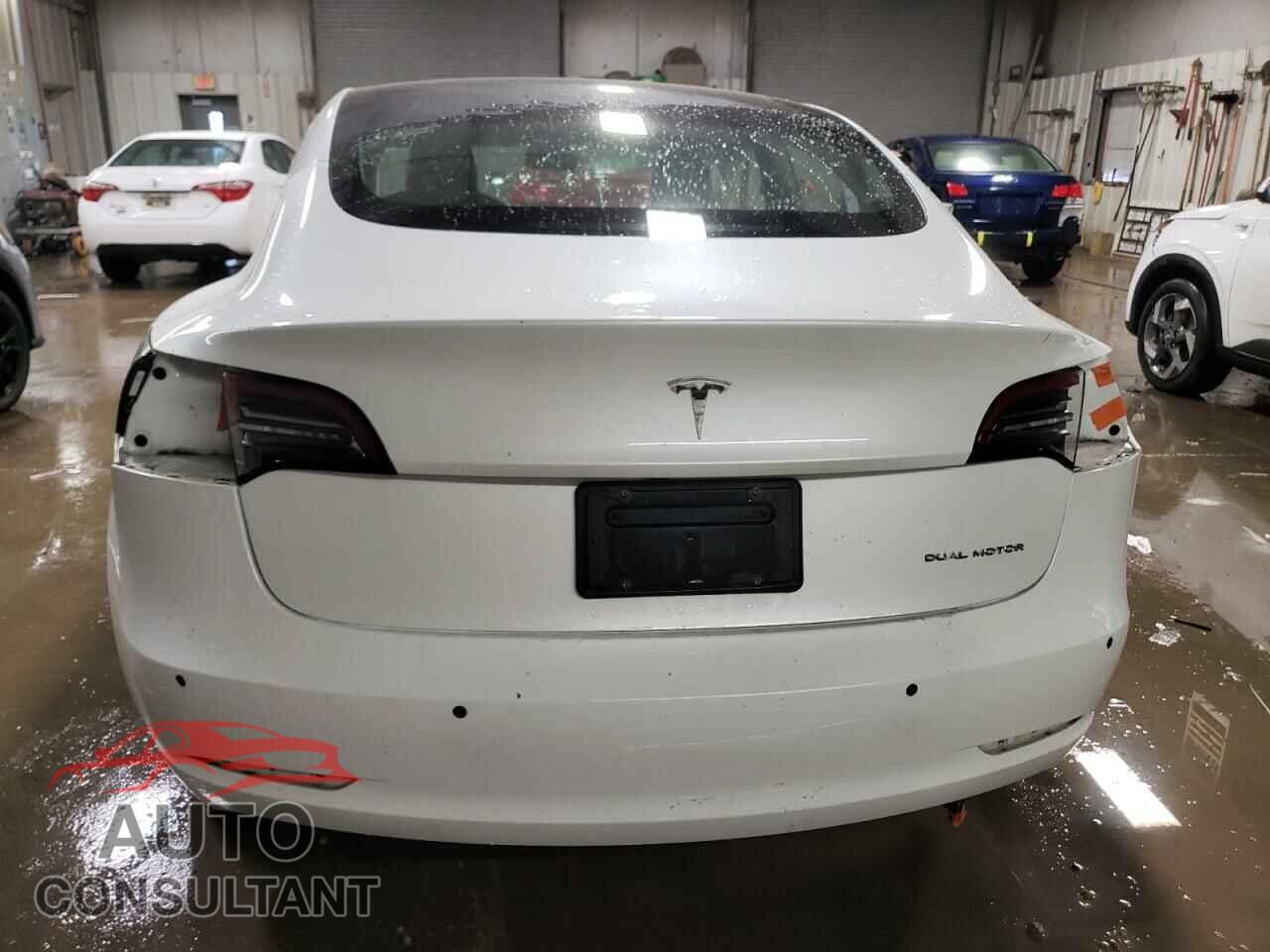TESLA MODEL 3 2019 - 5YJ3E1EB3KF494082