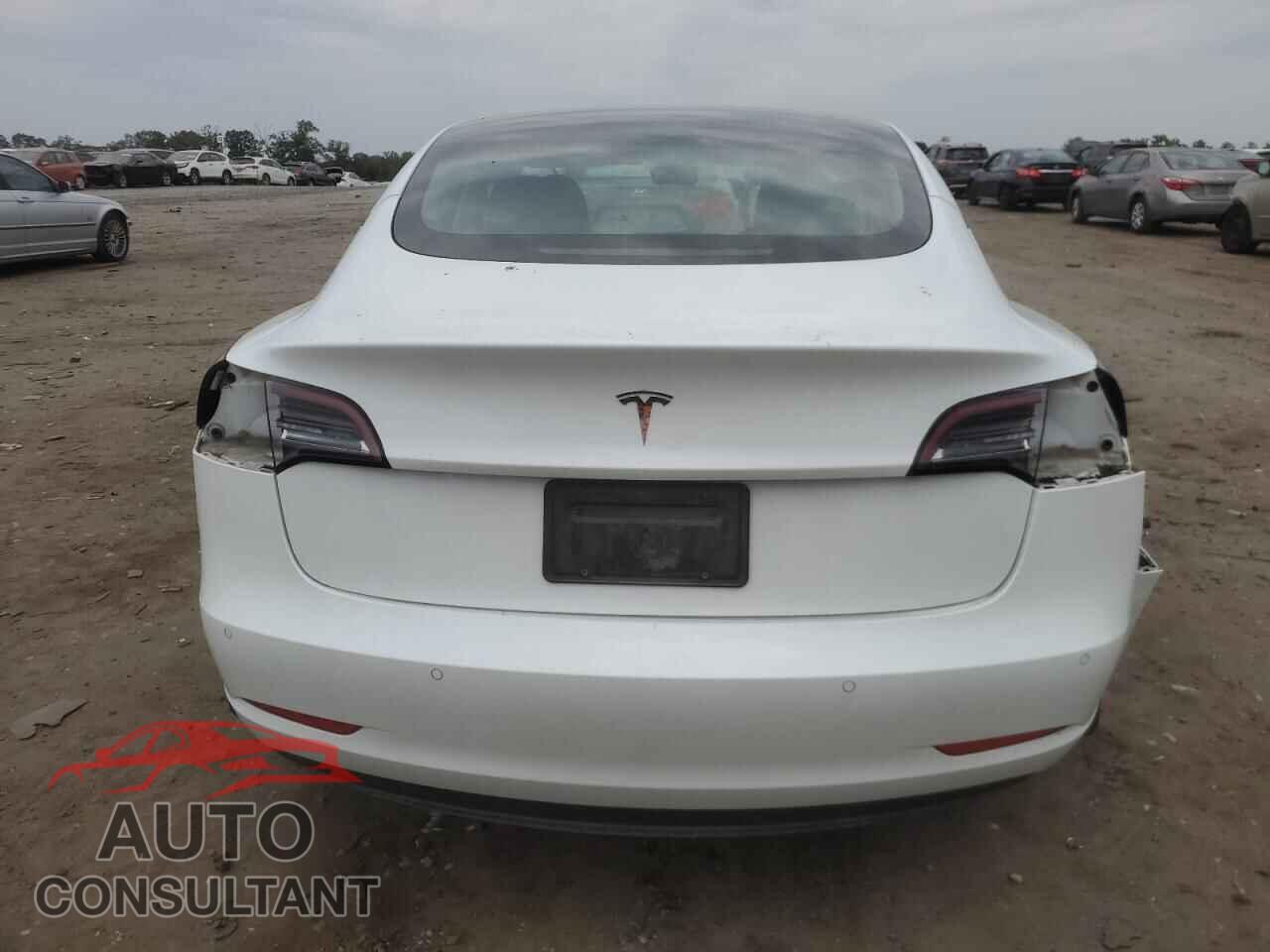 TESLA MODEL 3 2021 - 5YJ3E1EA1MF854296