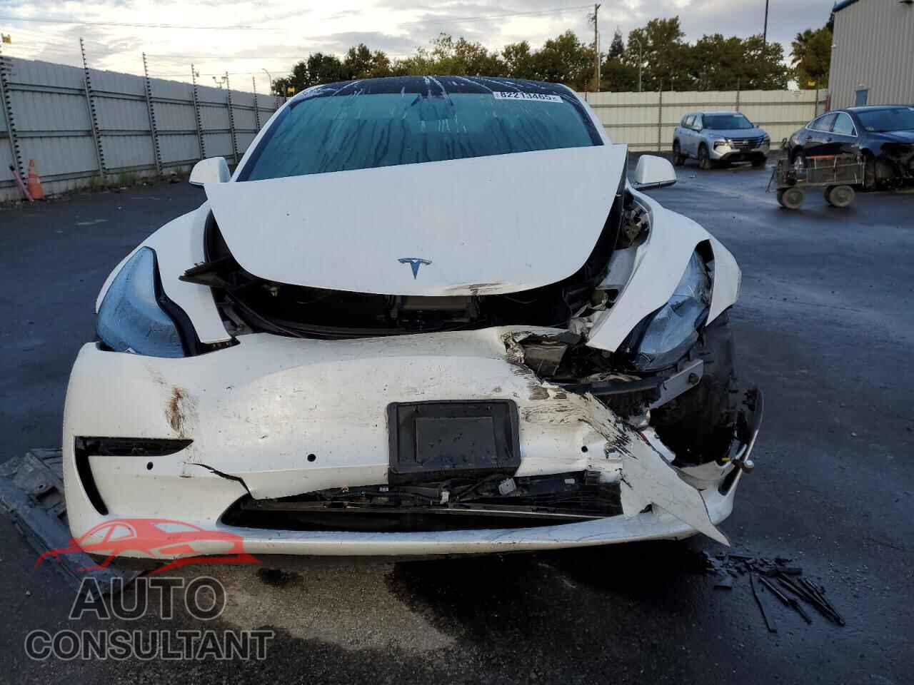 TESLA MODEL 3 2020 - 5YJ3E1EA3LF661601