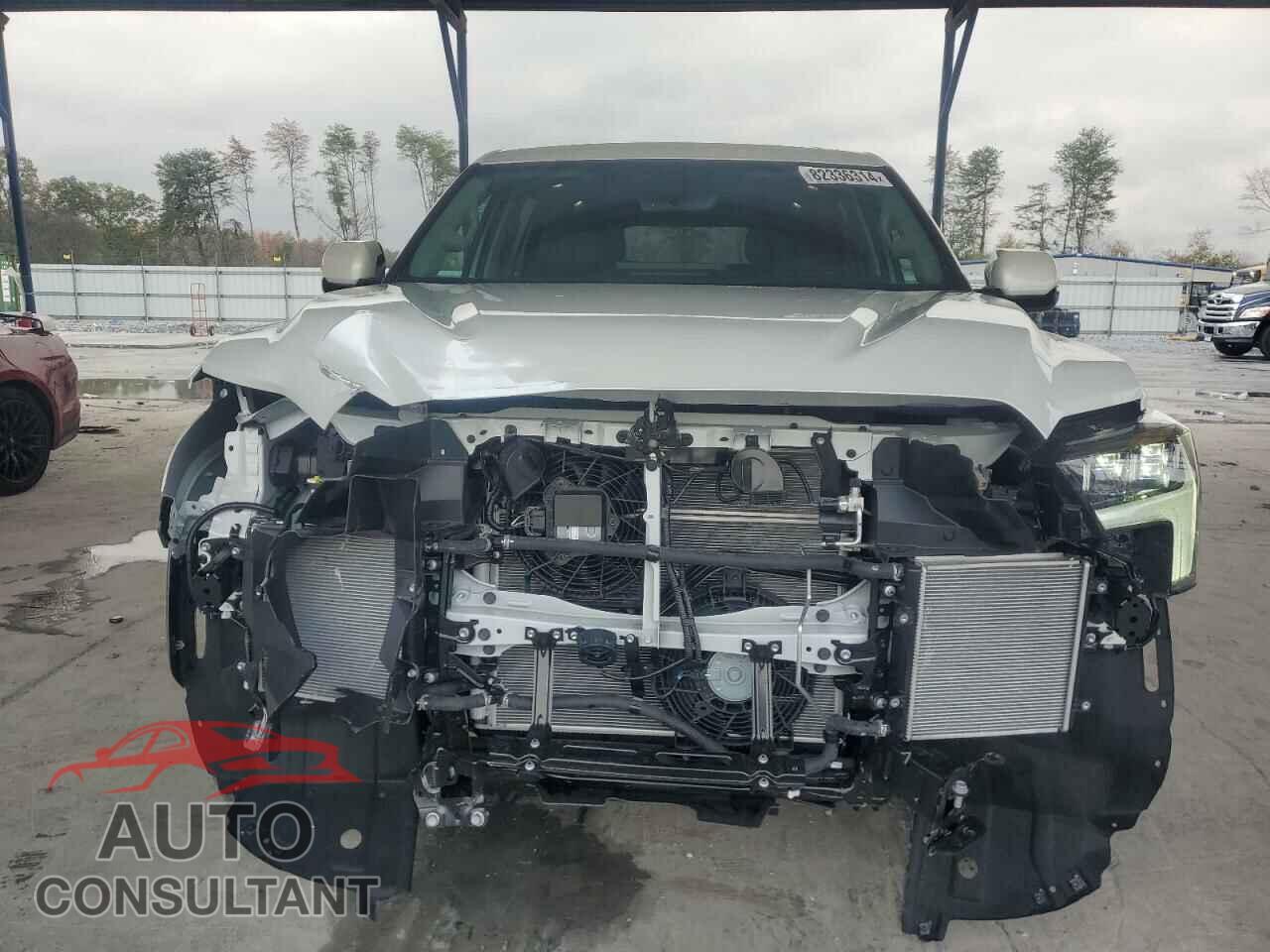 TOYOTA SEQUOIA 2024 - 7SVAAABA2RX044136