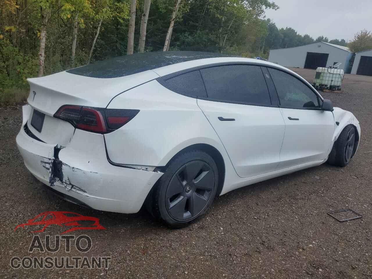 TESLA MODEL 3 2019 - 5YJ3E1EA2KF480455