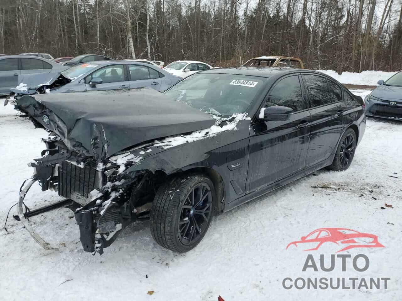 BMW 5 SERIES 2023 - WBA33AG03PCN09120