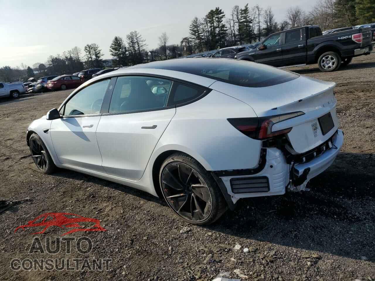 TESLA MODEL 3 2024 - 5YJ3E1ETXRF784872