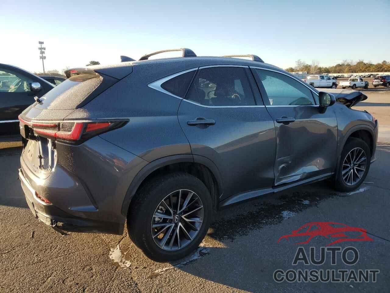 LEXUS NX 350 PRE 2024 - 2T2GGCEZ1RC056739