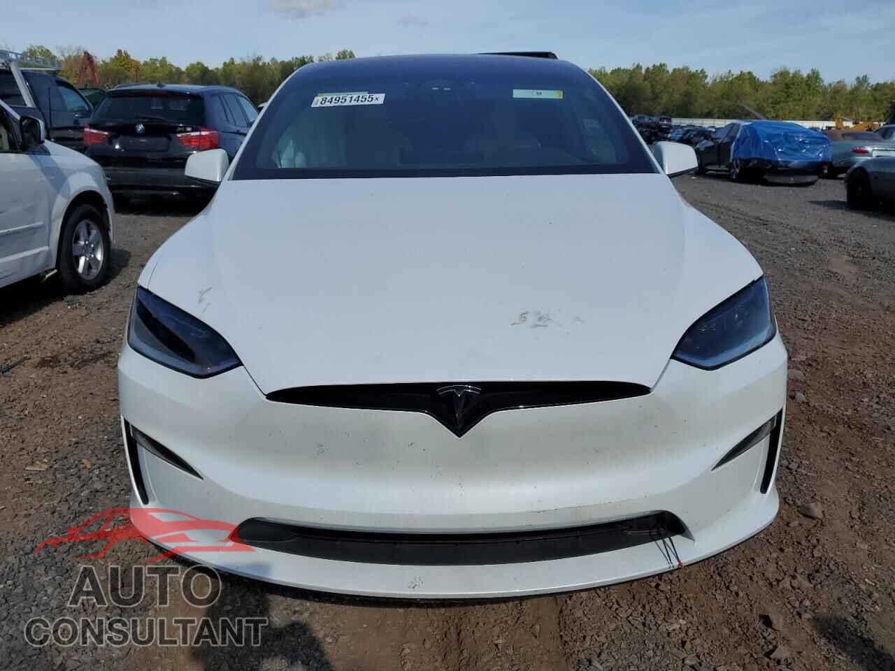 TESLA MODEL X 2024 - 7SAXCAE51RF448488