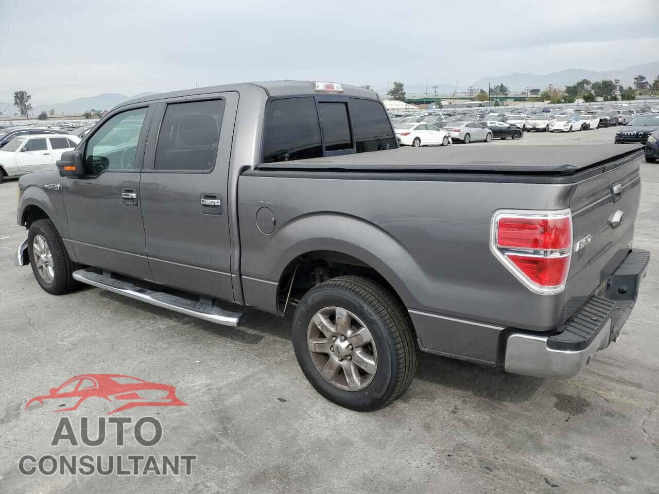 FORD F-150 2013 - 1FTFW1CF0DFC53501