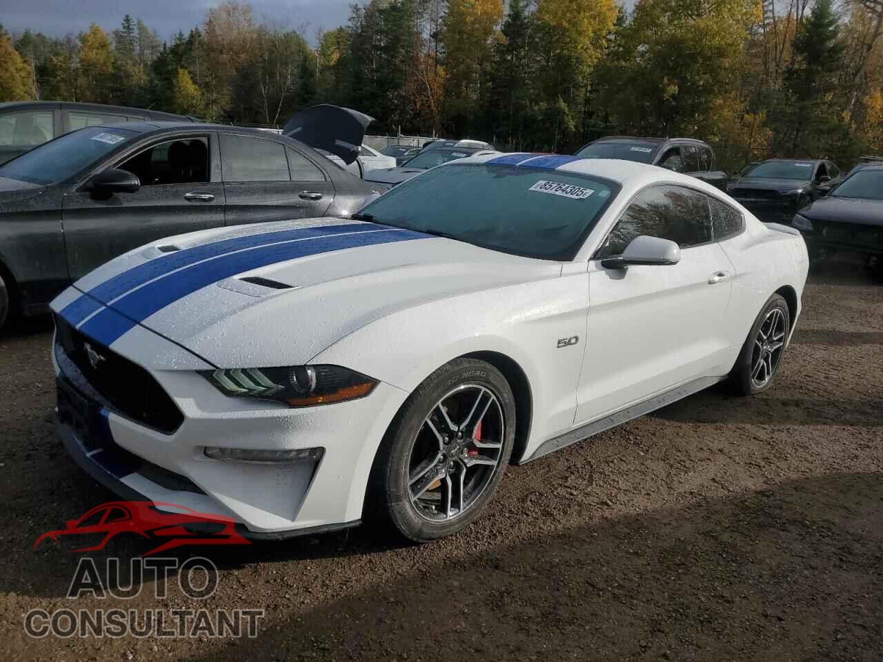 FORD MUSTANG 2019 - 1FA6P8CF2K5162907