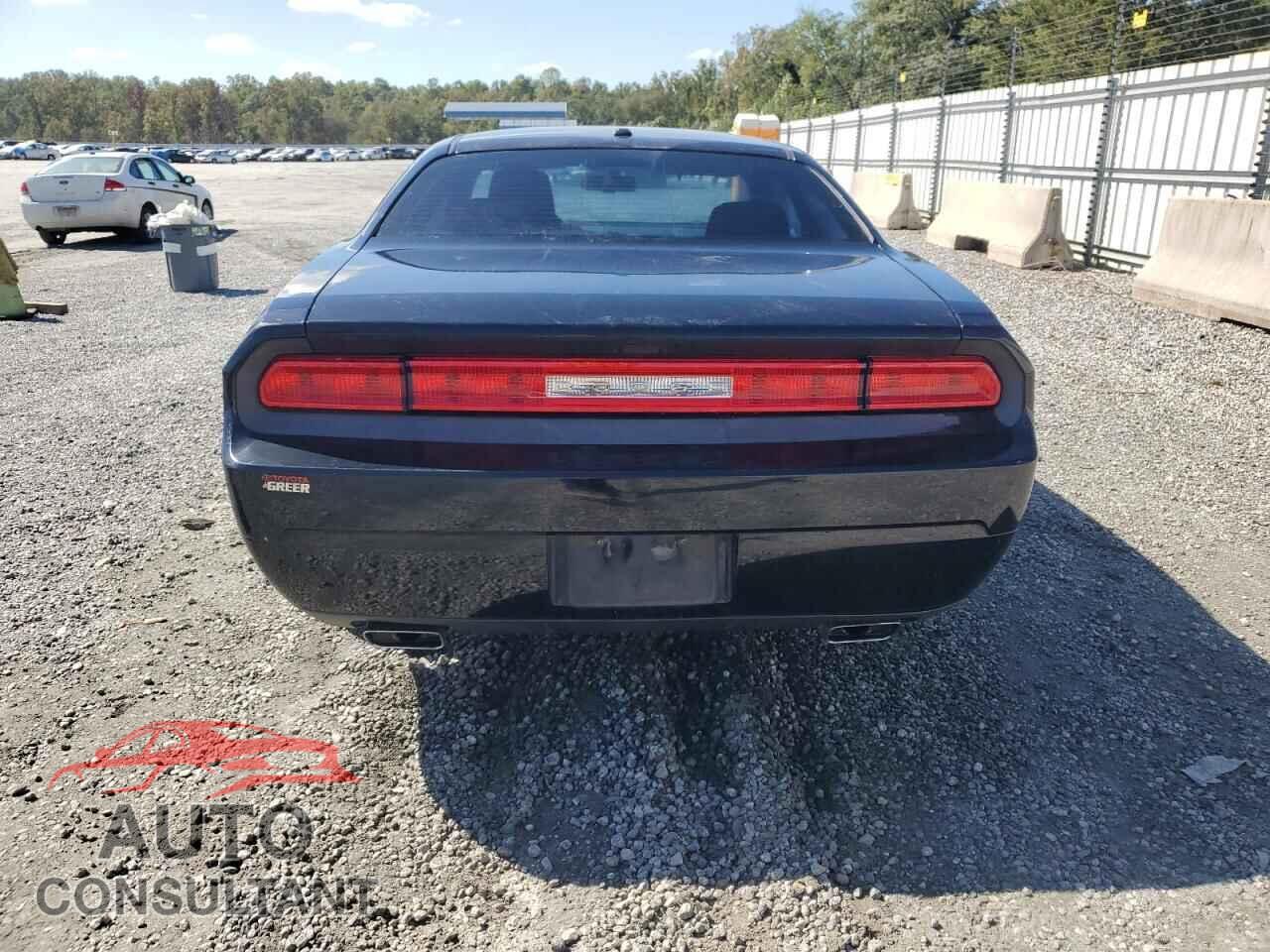 DODGE CHALLENGER 2014 - 2C3CDYAG5EH229969