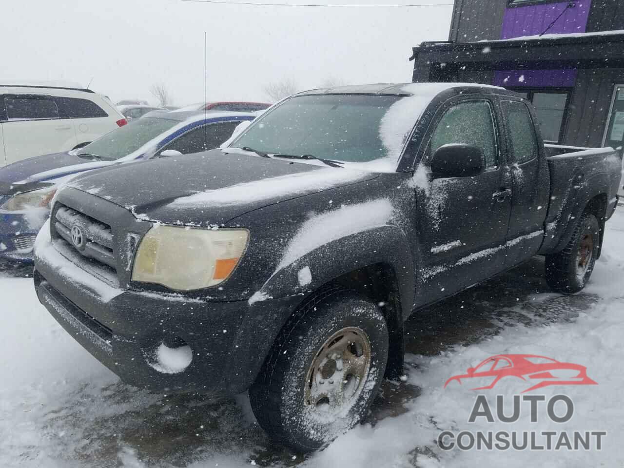 TOYOTA TACOMA 2009 - 5TEUX42N69Z660036