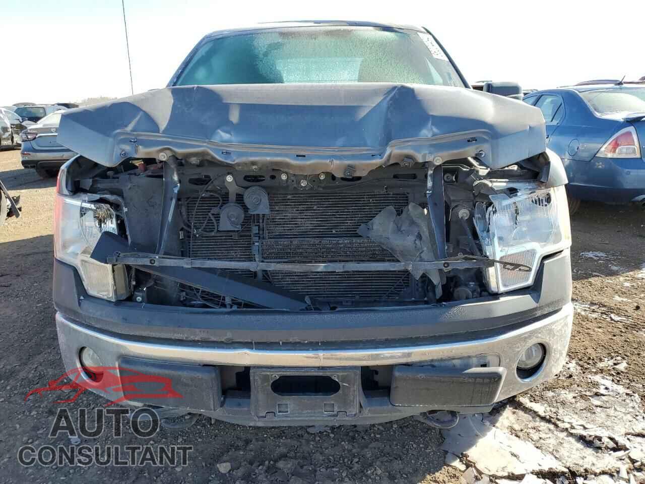 FORD F-150 2013 - 1FTEX1CM9DFD27716
