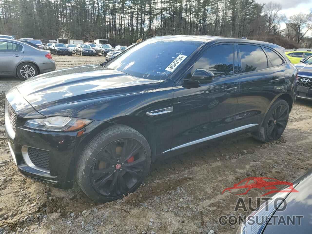 JAGUAR F-PACE 2020 - SADCM2FV9LA624771