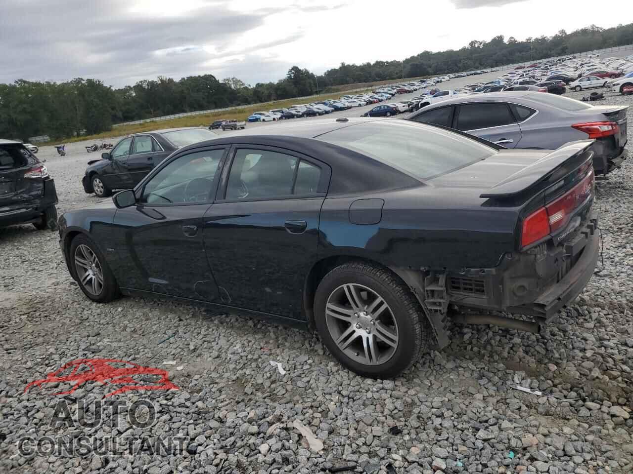 DODGE CHARGER 2013 - 2C3CDXCT3DH531859