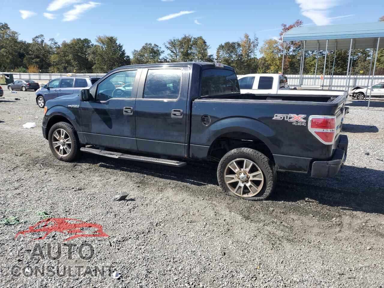 FORD F-150 2014 - 1FTFW1EFXEFA08266