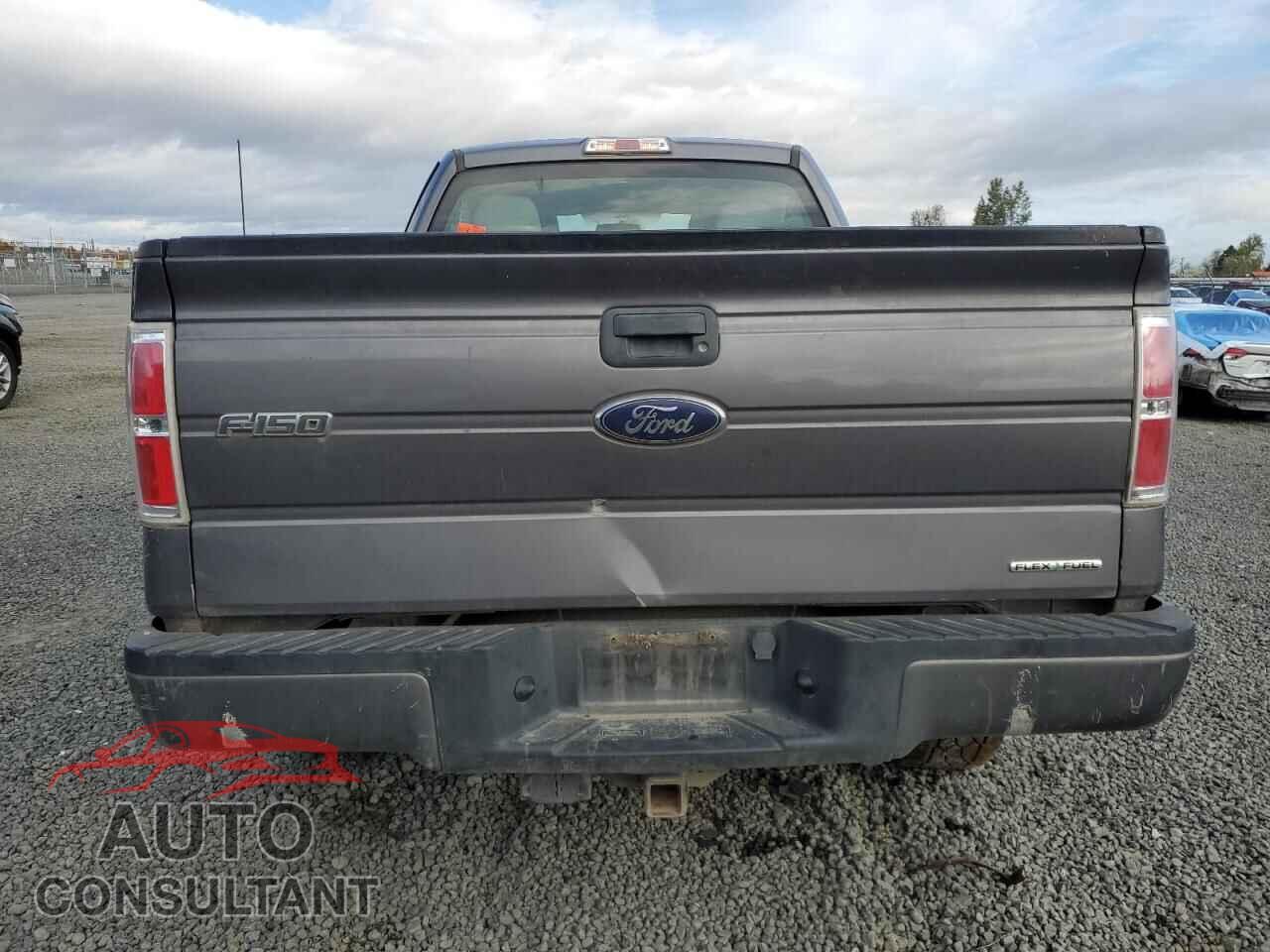 FORD F-150 2013 - 1FTFX1EF5DKE65974