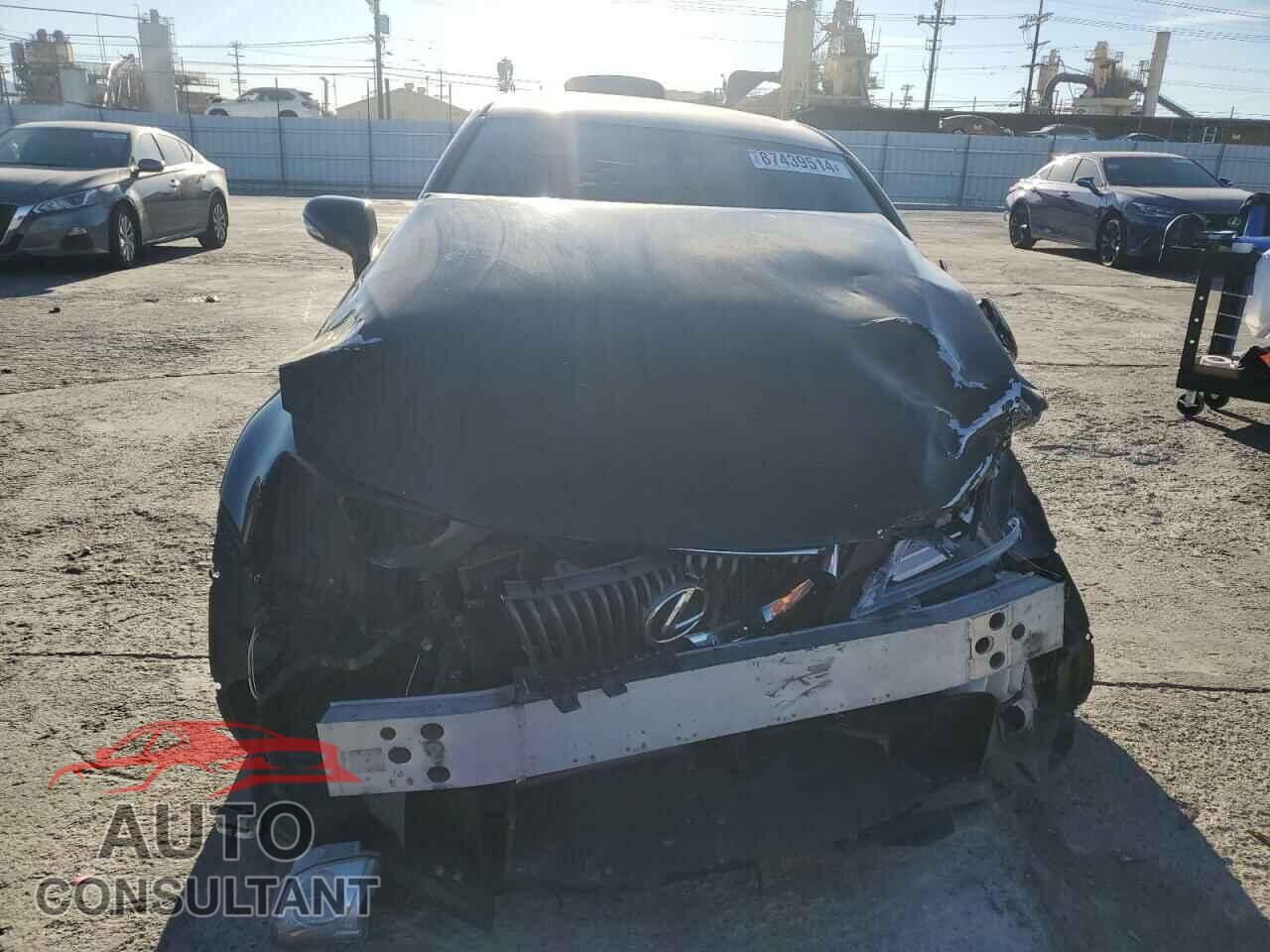 LEXUS IS 2010 - JTHBF5C27A5129051