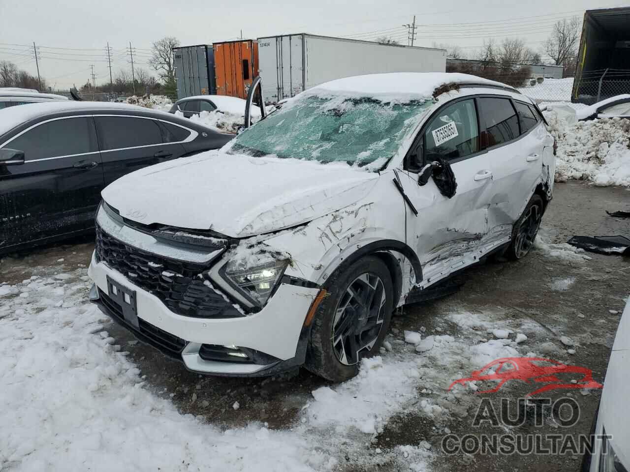 KIA SPORTAGE 2024 - 5XYK53DF1RG193356