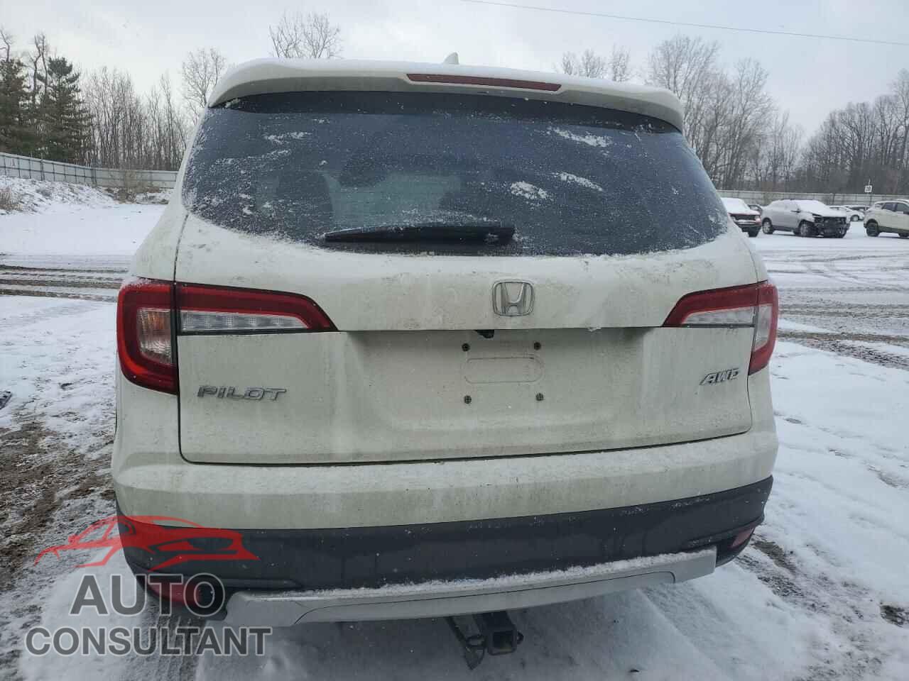 HONDA PILOT 2019 - 5FNYF6H57KB084231