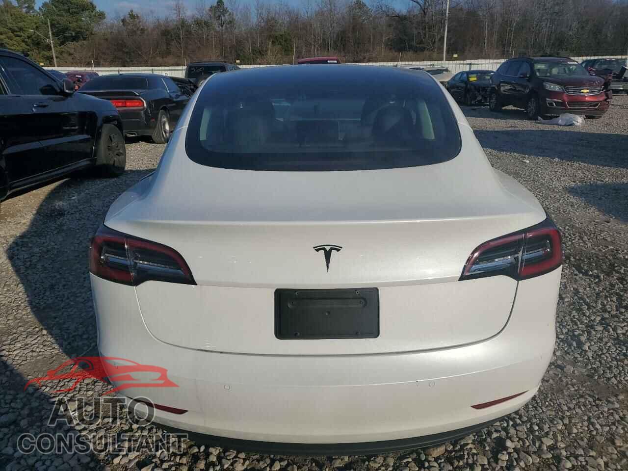 TESLA MODEL 3 2021 - 5YJ3E1EA8MF093993