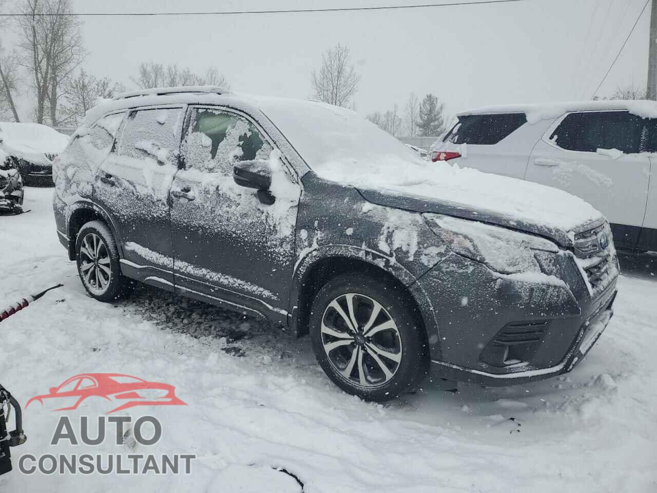 SUBARU FORESTER 2023 - JF2SKANC1PH424425