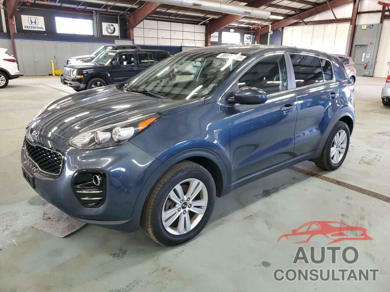 KIA SPORTAGE 2017 - KNDPMCAC9H7033675