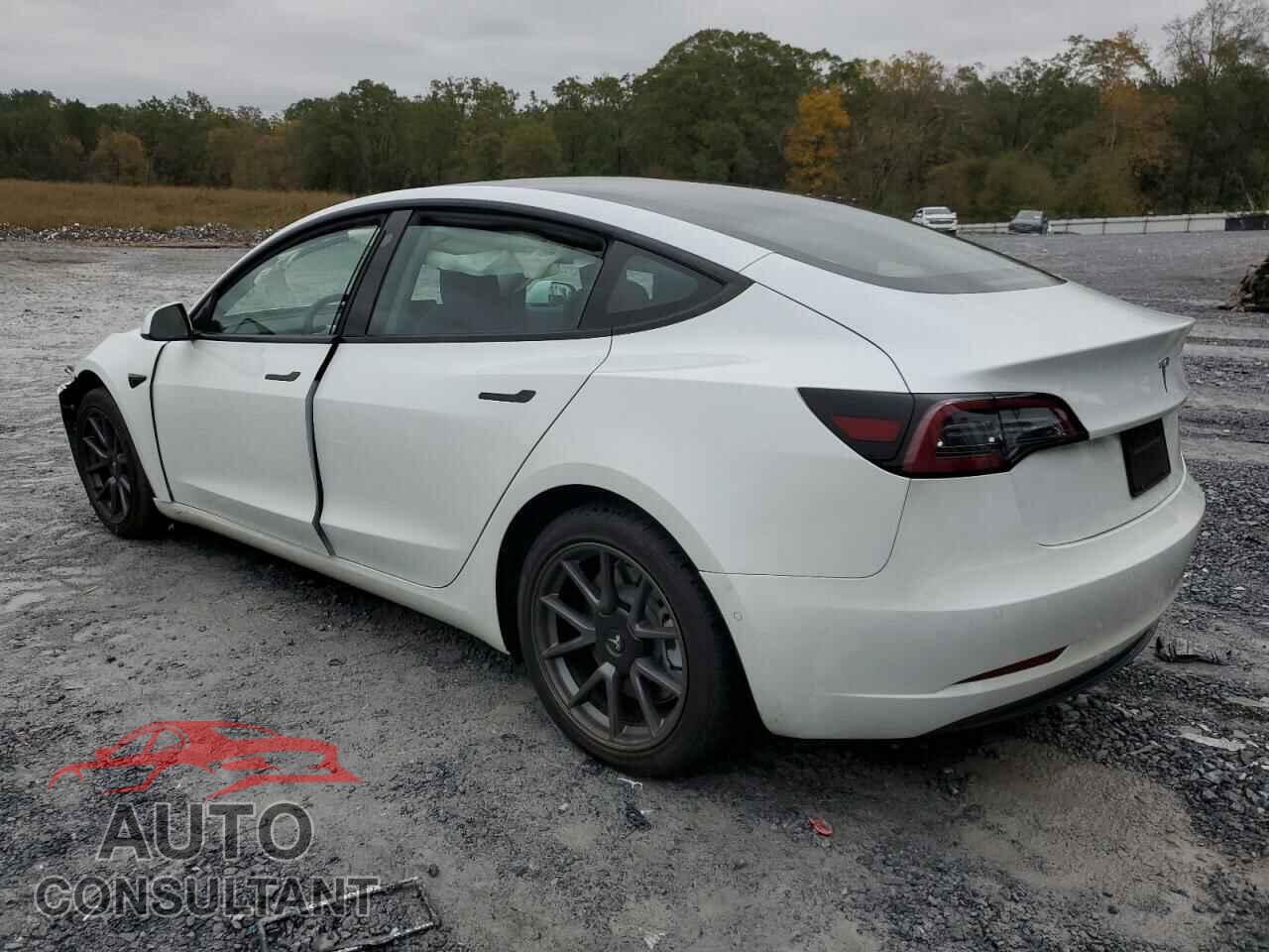 TESLA MODEL 3 2021 - 5YJ3E1EA0MF940523