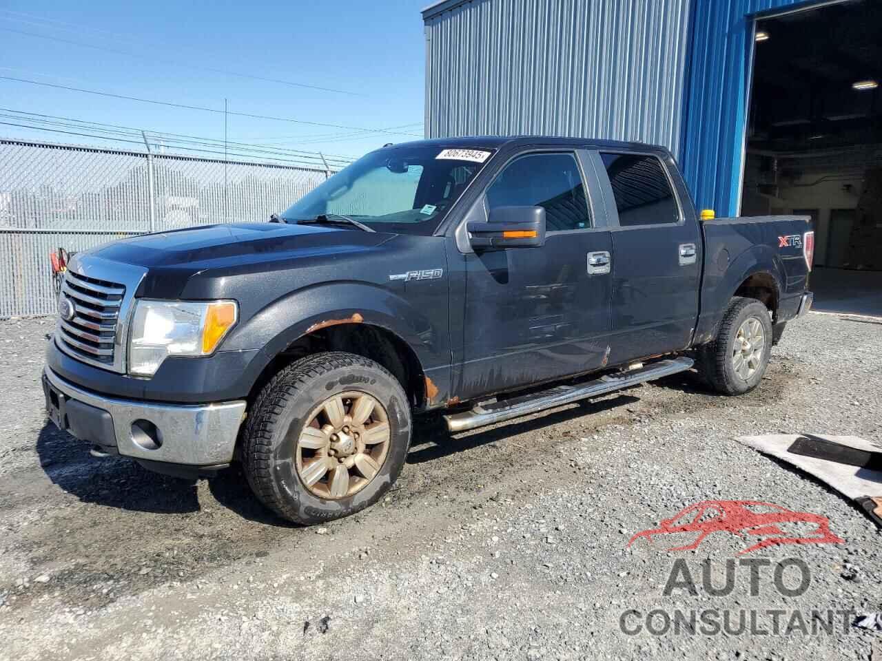 FORD F-150 2011 - 1FTFW1EFXBFA21403
