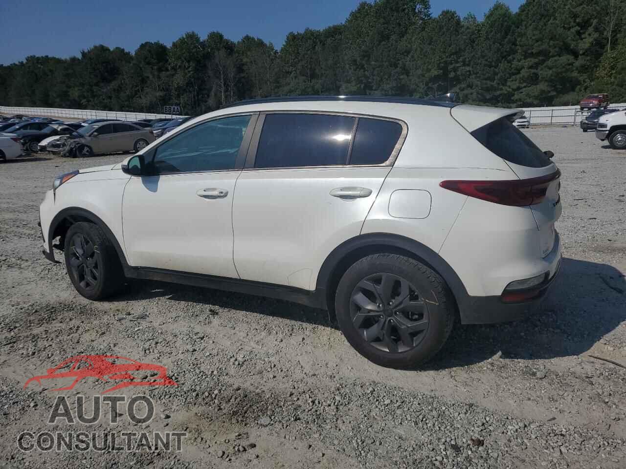 KIA SPORTAGE 2022 - KNDP63AC9N7963243