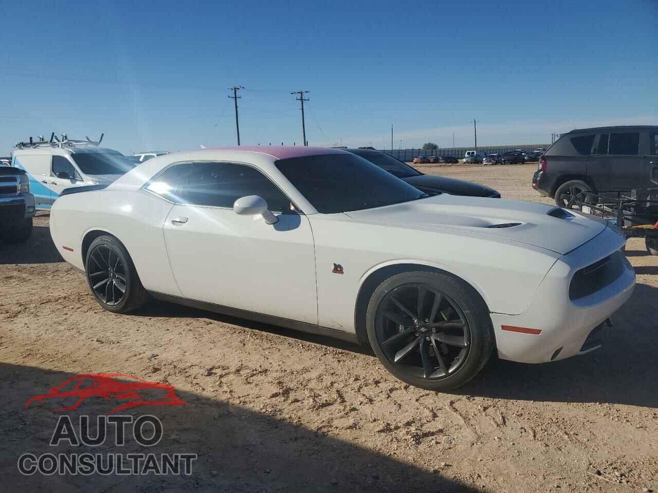 DODGE CHALLENGER 2019 - 2C3CDZFJXKH687934