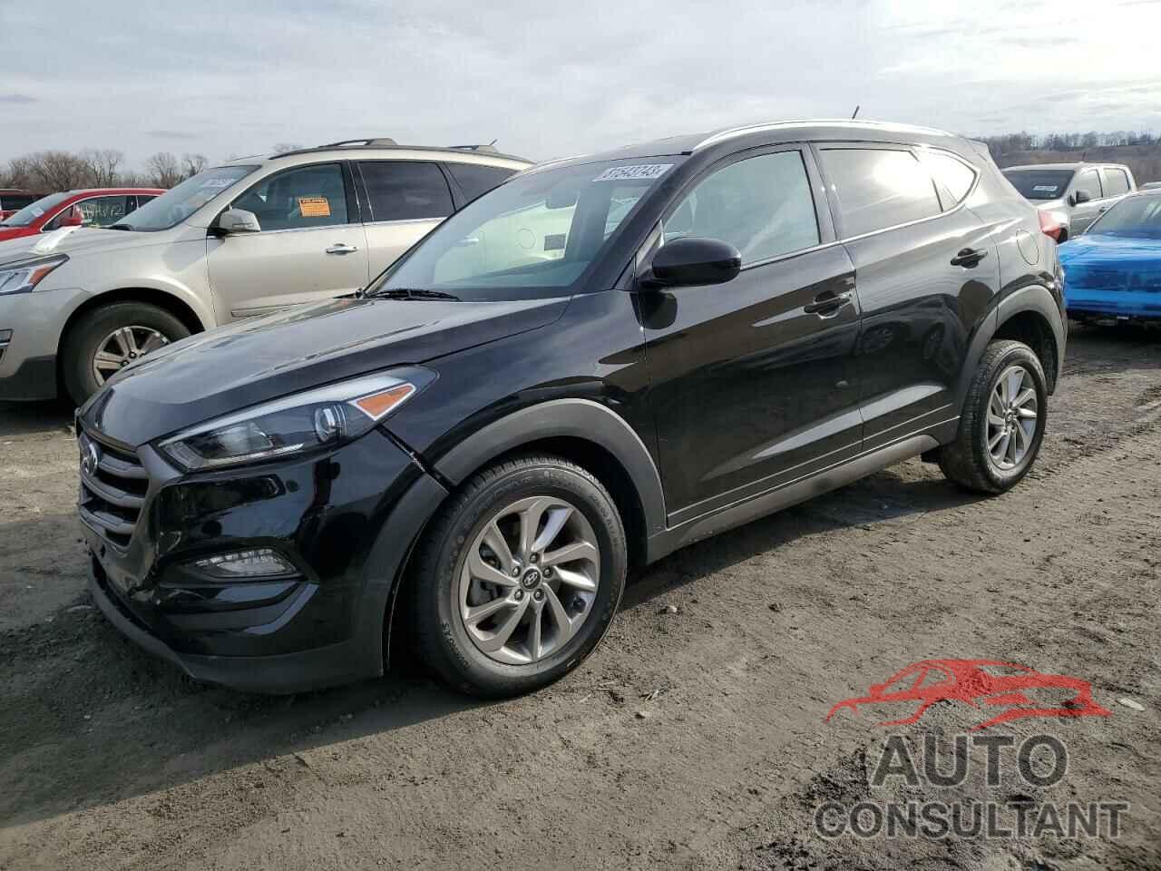 HYUNDAI TUCSON 2016 - KM8J33A49GU156969