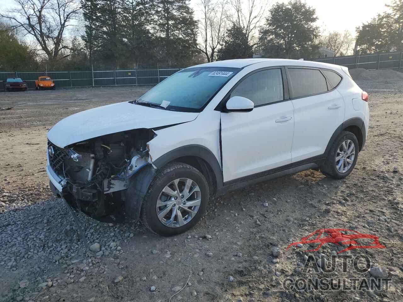 HYUNDAI TUCSON 2019 - KM8J2CA42KU903095