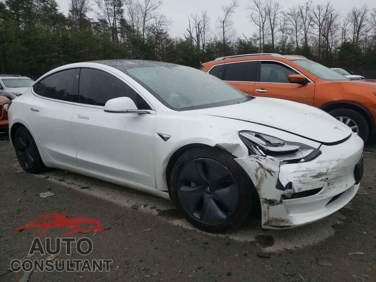 TESLA MODEL 3 2019 - 5YJ3E1EB9KF388297
