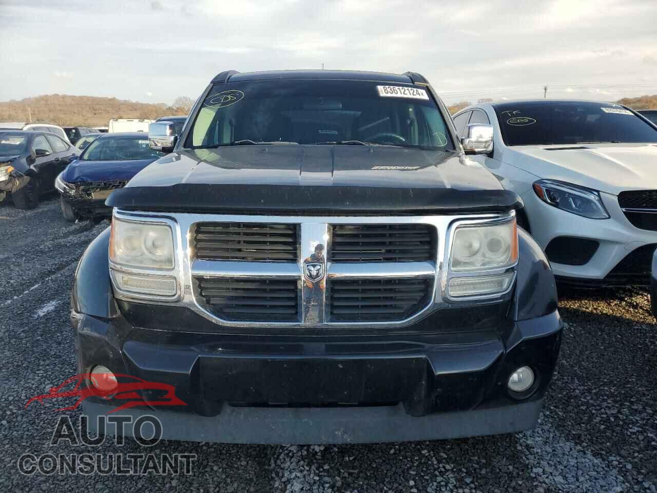 DODGE NITRO 2011 - 1D4PT2GK9BW535503