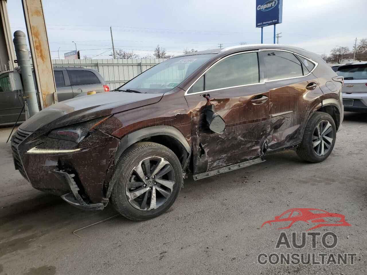 LEXUS NX 2019 - JTJBARBZ9K2189354