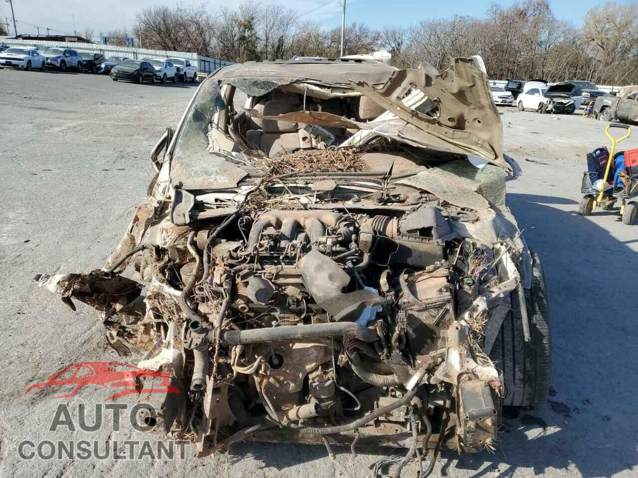 NISSAN MAXIMA 2014 - 1N4AA5AP1EC444784