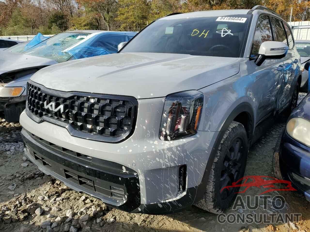 KIA TELLURIDE 2024 - 5XYP5DGC5RG459622