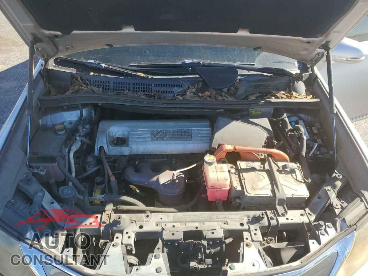 LEXUS HS 2010 - JTHBB1BA2A2001685