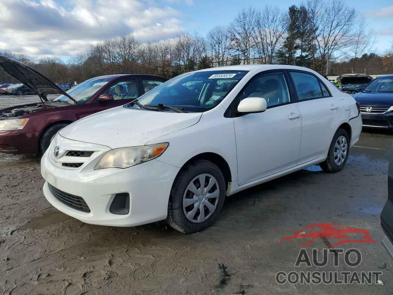 TOYOTA COROLLA 2011 - 2T1BU4EE1BC658587