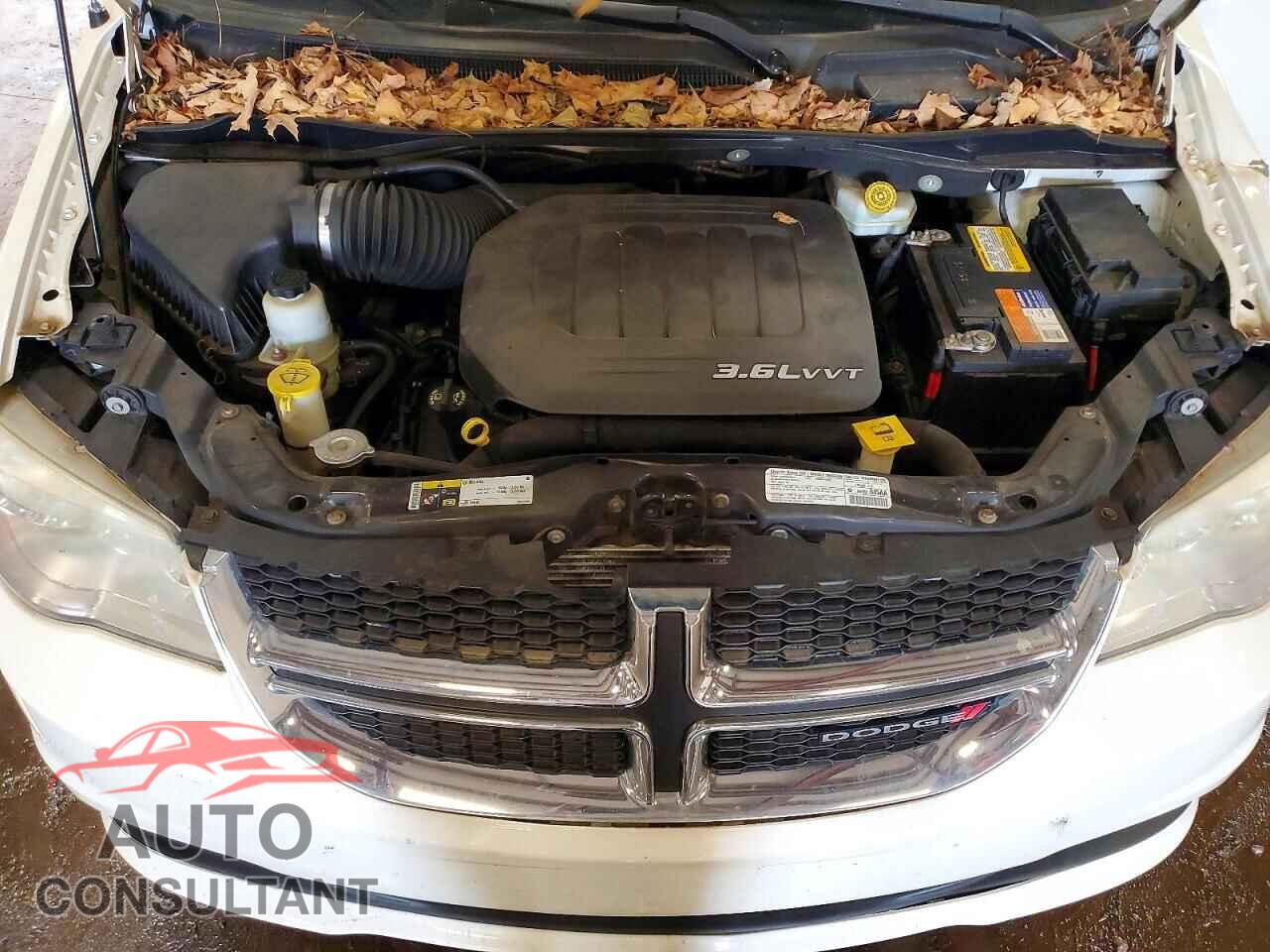 DODGE CARAVAN 2013 - 2C4RDGBG9DR766173