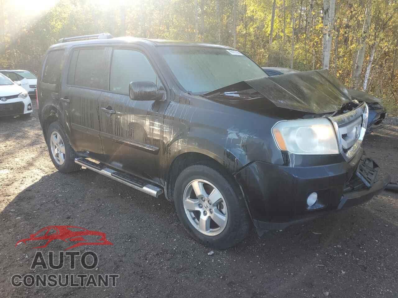 HONDA PILOT 2011 - 5FNYF4H44BB503308
