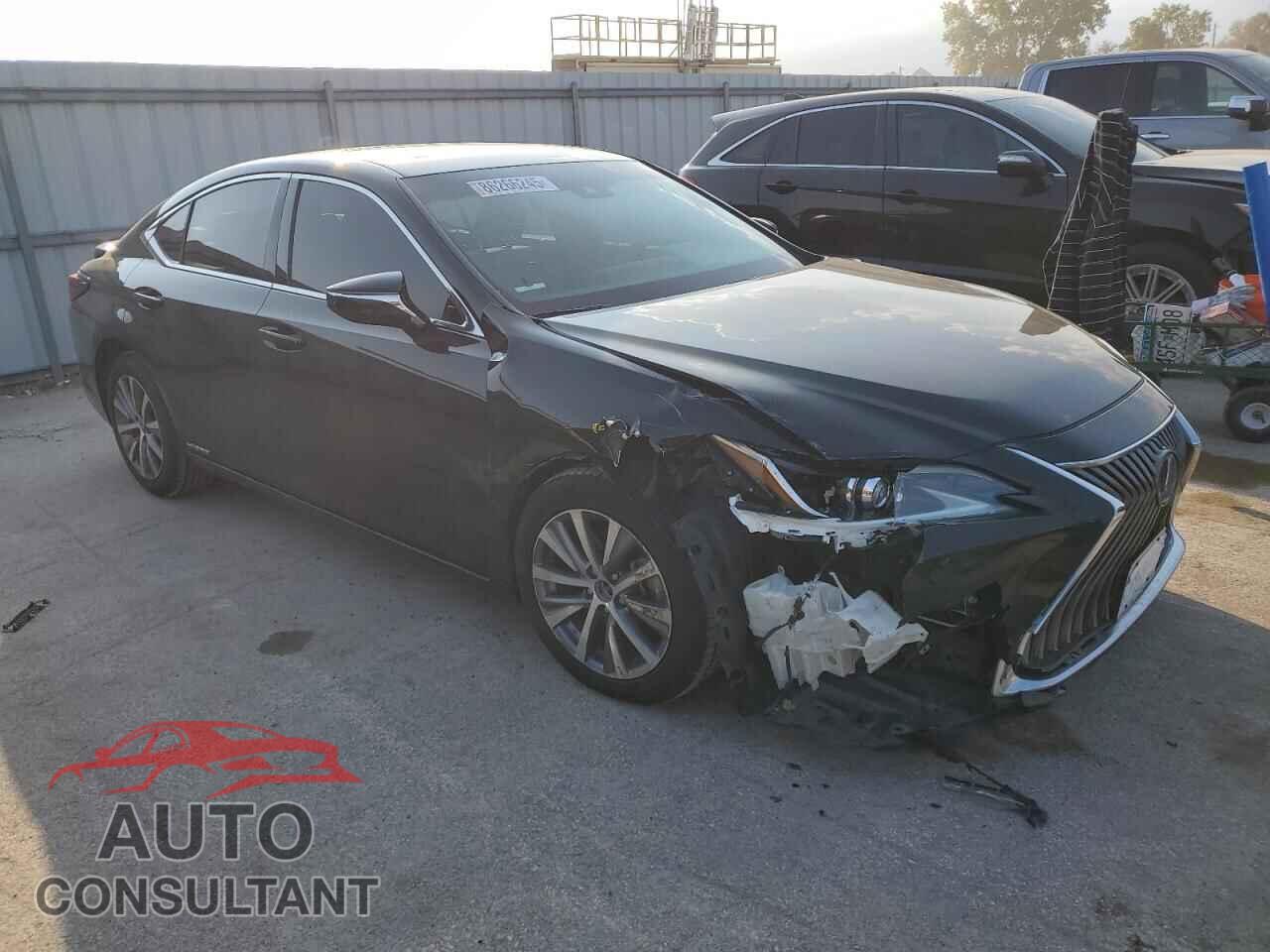 LEXUS ES300 2020 - 58AD21B19LU006842