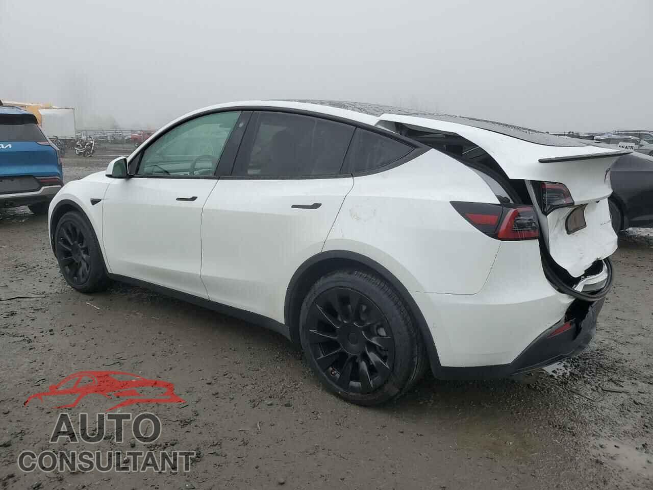 TESLA MODEL Y 2021 - 5YJYGDEE1MF267004