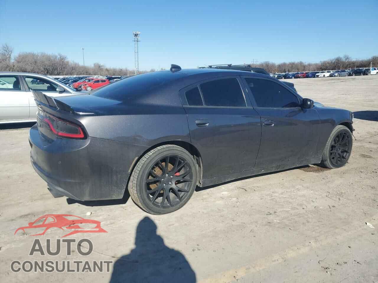 DODGE CHARGER 2015 - 2C3CDXCTXFH879550